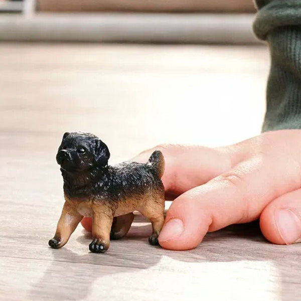 Schæferhund Hvalp