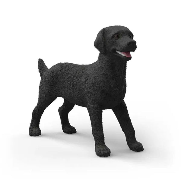 Hun Labrador Retriever i Sort