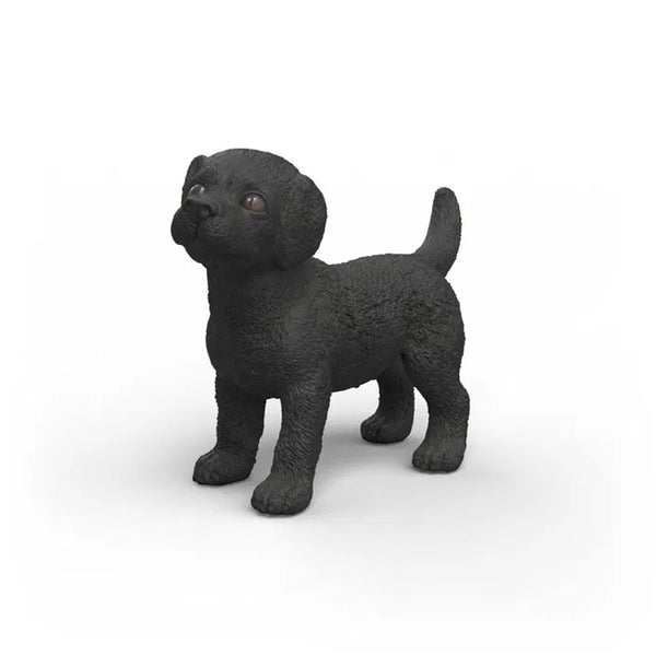 Labrador Retriever Hvalp i Sort