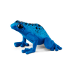 Blauer Giftfrosch