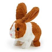 Happy Hoppy Kanin Hutch
