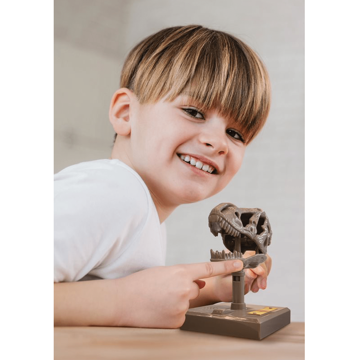 4M KidzLabs, Roaring T - Rex skull