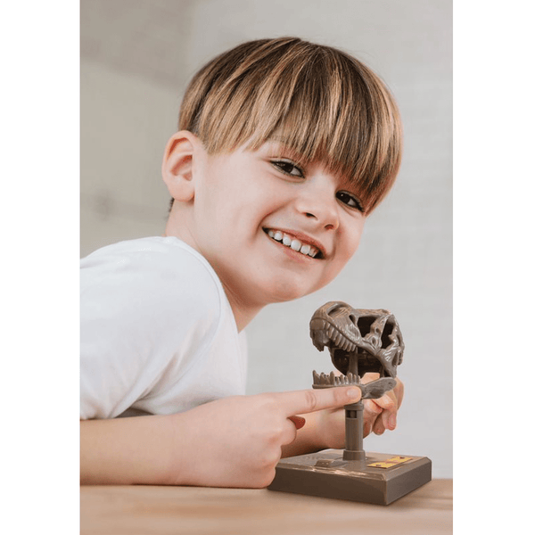 4M KidzLabs, Roaring T - Rex skull