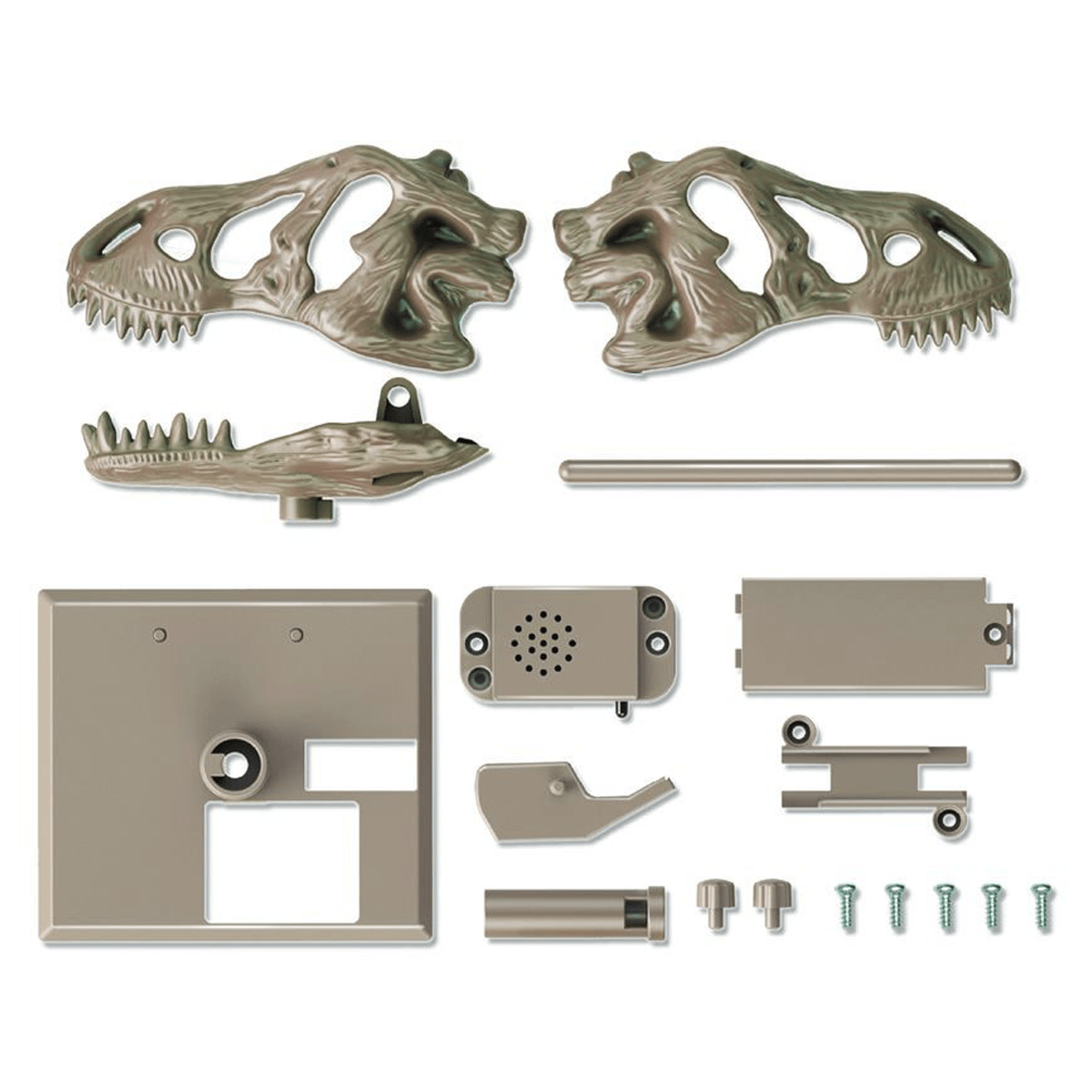 4M KidzLabs, Roaring T - Rex skull