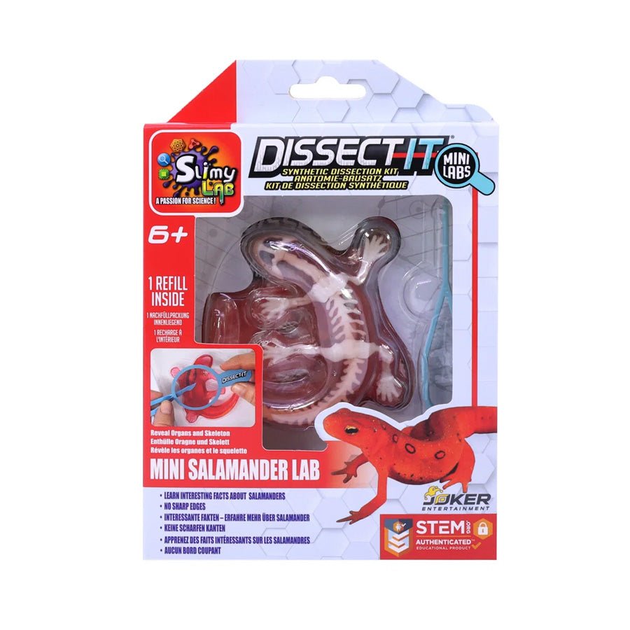 Dissect - it Sæt med Salamander