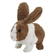 Happy Hoppy Kanin Hutch