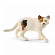 Amerikansk Shorthair Kat