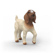 Boer Gedekid
