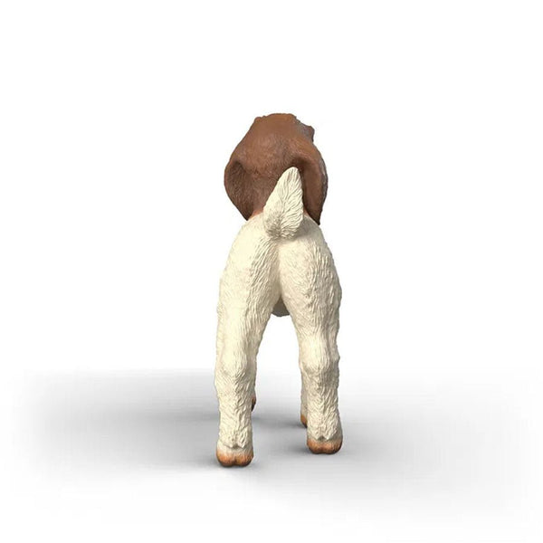 Boer Gedekid