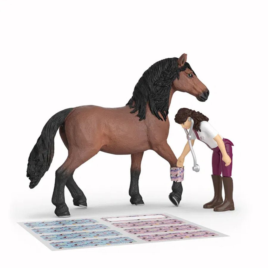 Happy Horse Hospital