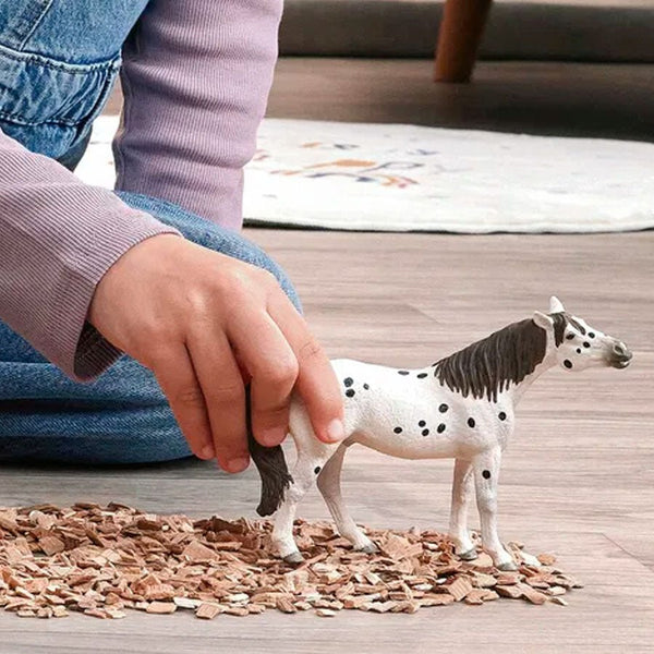 Knabstrupper Vallak