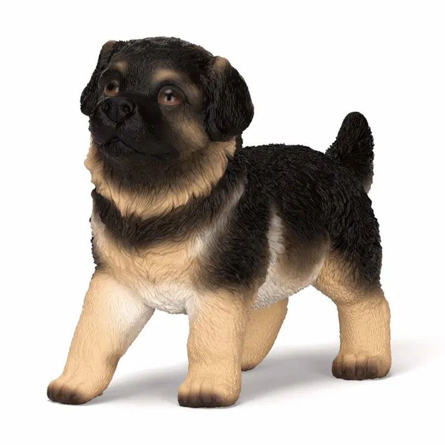 Schæferhund Hvalp