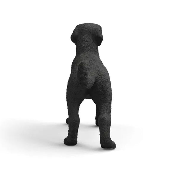 Hun Labrador Retriever i Sort