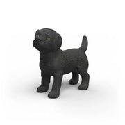 Labrador Retriever Hvalp i Sort