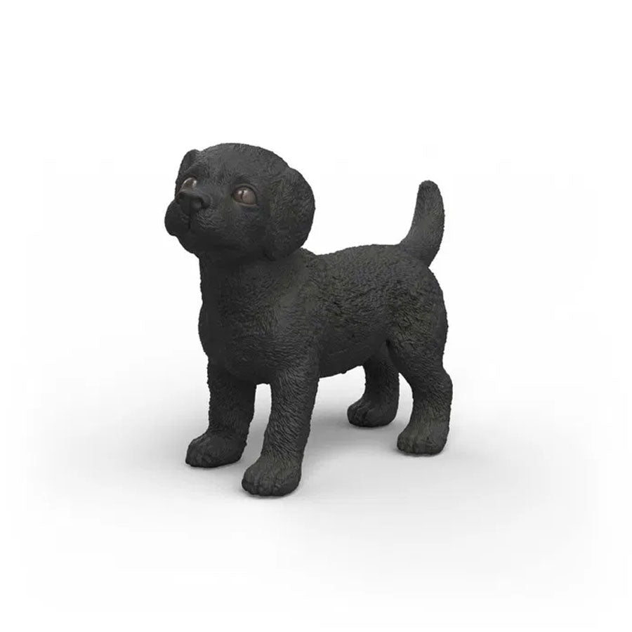 Labrador Retriever Hvalp i Sort