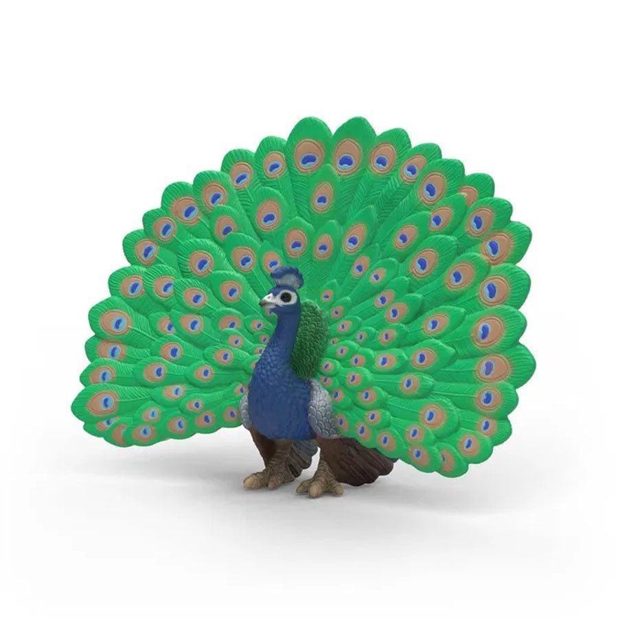 Påfugl