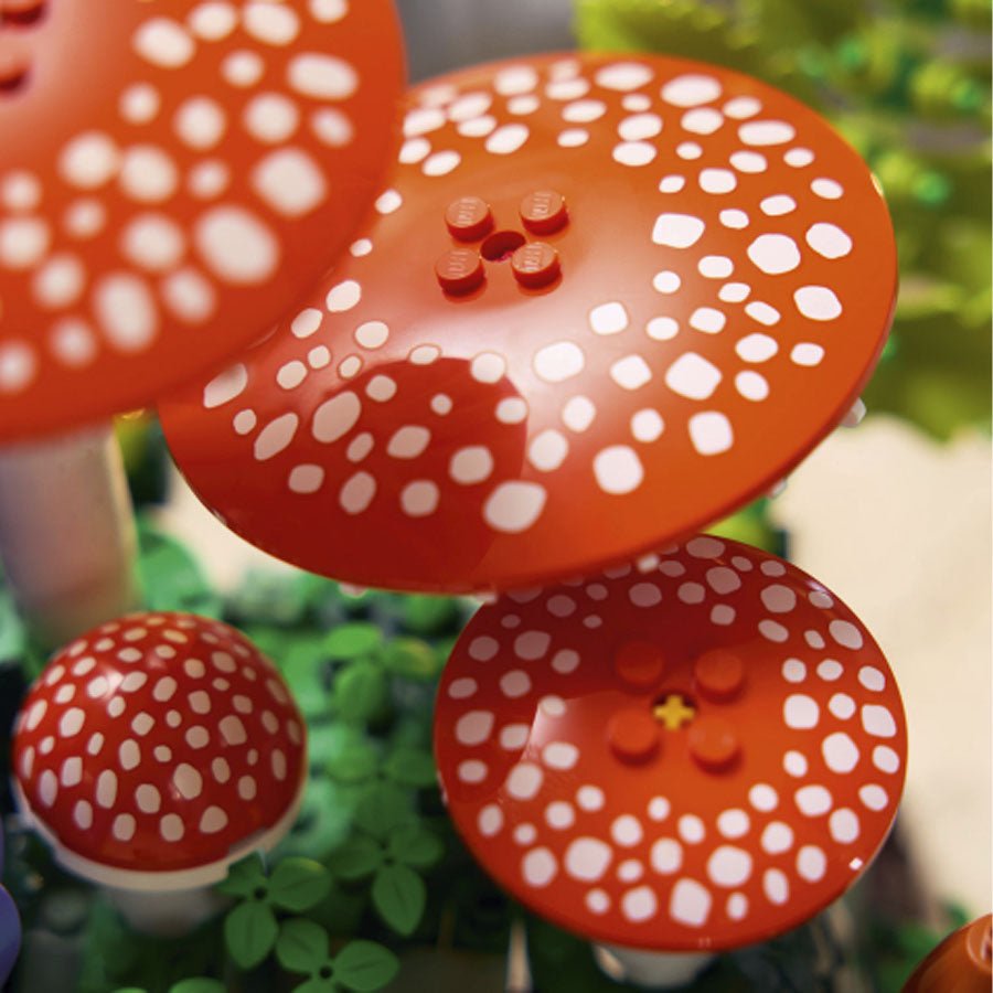 Botanicals: Skovsvampe