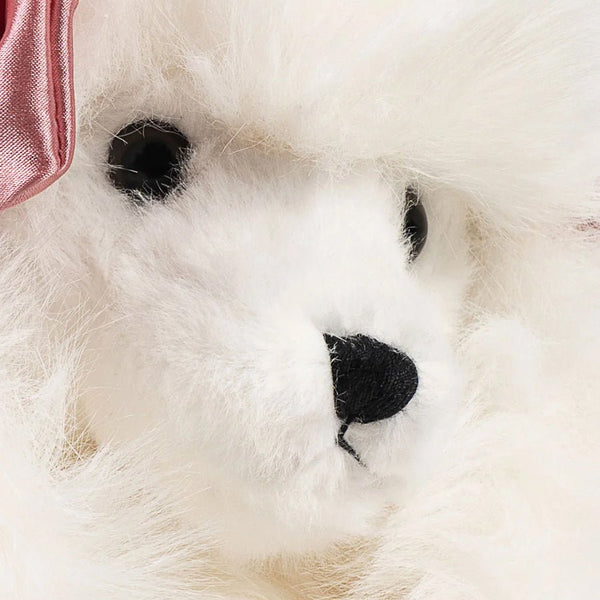 Spitz Hundehvalp