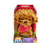 Mitgehender Cockapoo-Welpe