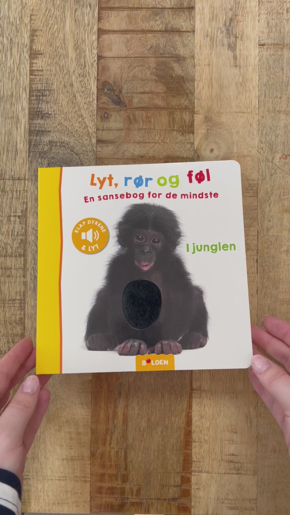 Video laden: Hör, Fühl und Tasten: Im Dschungel
