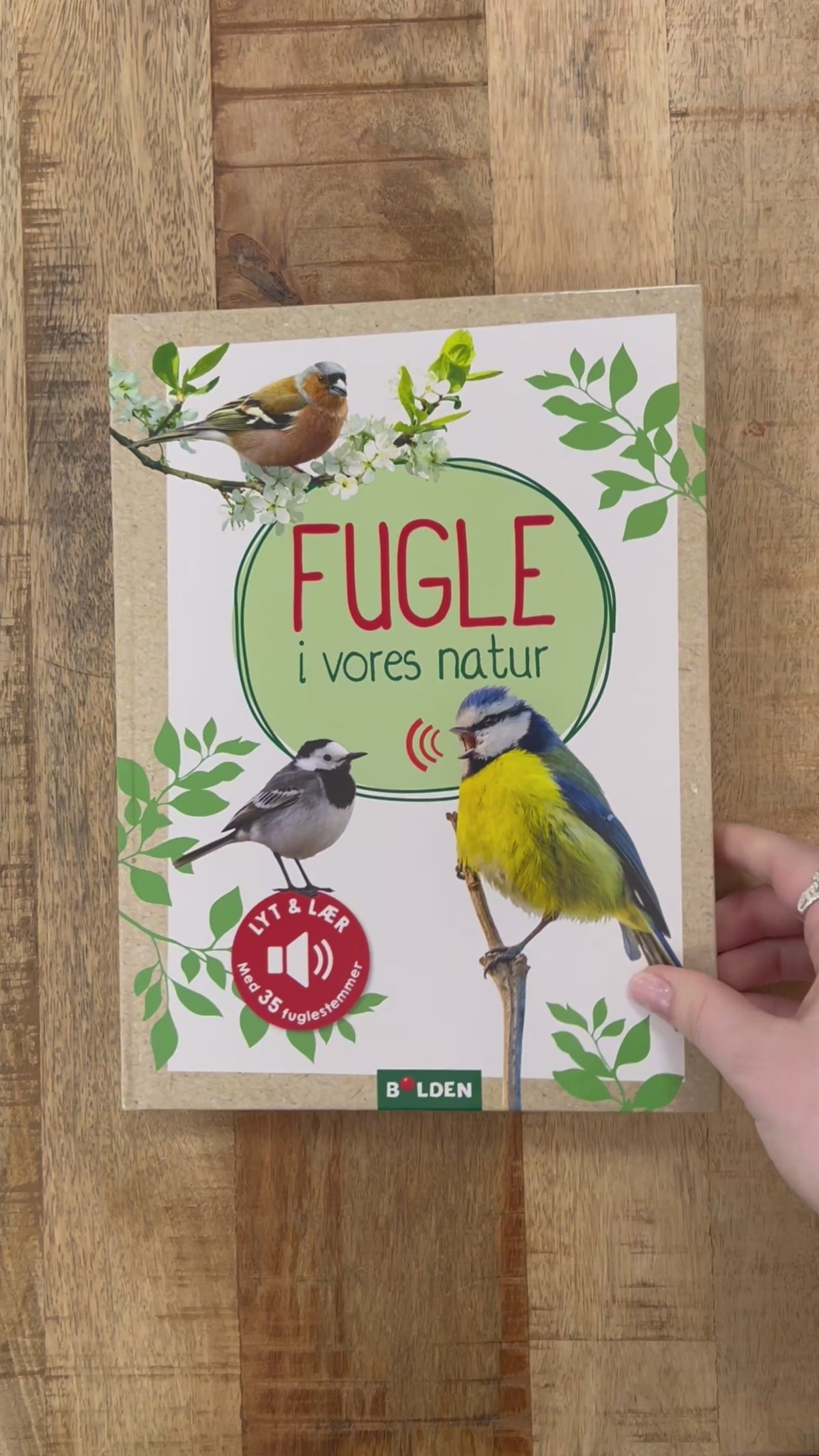 Video laden: Vögel in unserer Natur - Hörbuch (dänisch)