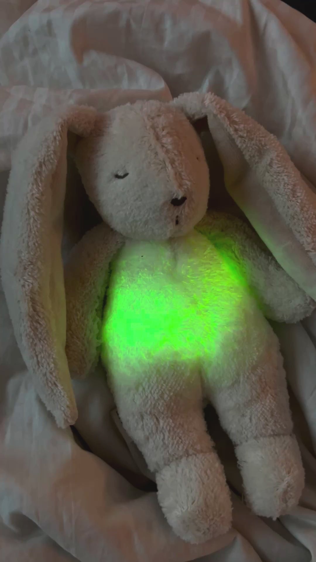 Video laden: Bio-Kaninchen mit Lampe in Polar Natur
